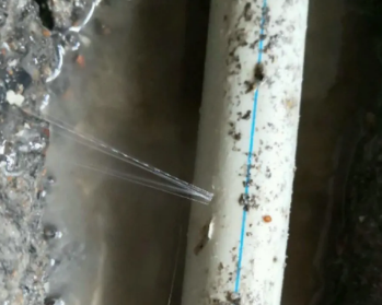 津南卫生间测漏水多少钱
