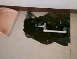 津南卫生间测漏水多少钱